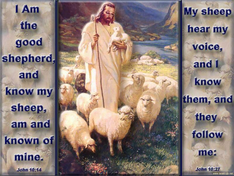 Jesus-Good-Shepherd-photo from turnbacktoGod.com