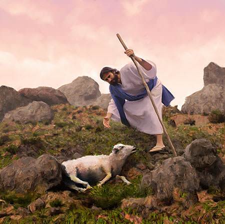 One lost sheep Photo from UBDavid.org