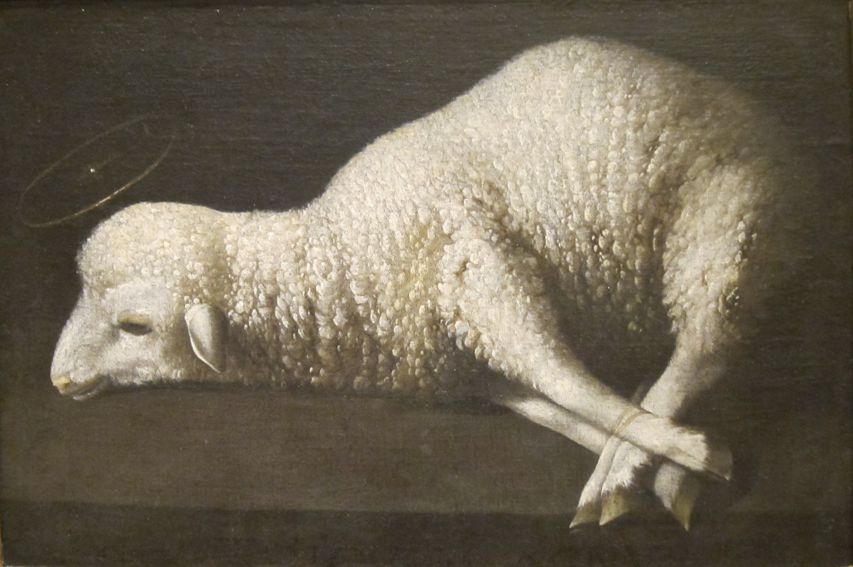 Agnus_Dei_(The_Lamb_of_God)_by_Zurbarán,_San_Diego_Museum_of_Art.jpg