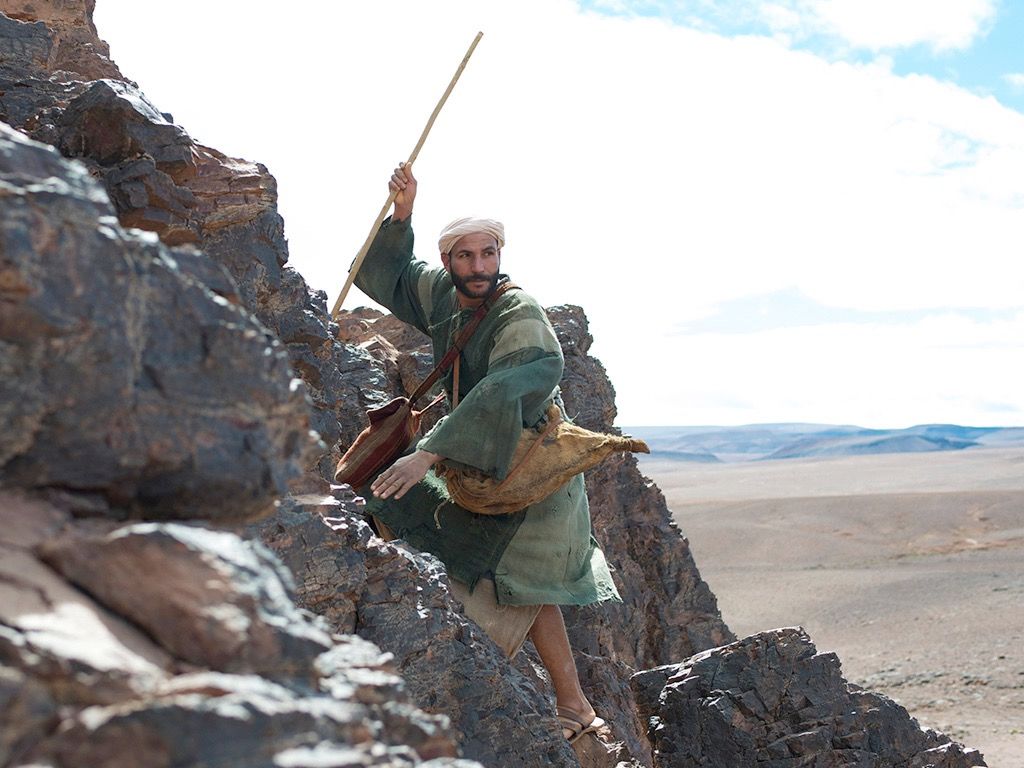 lost-sheep Photo from Freebibleimages.jpg