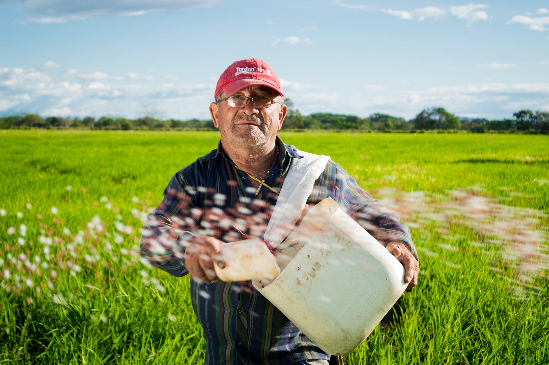 man field rice colombia