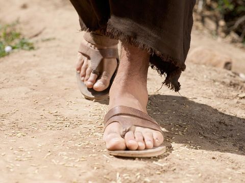 sower-seed parable 1 phot by freebibleimages