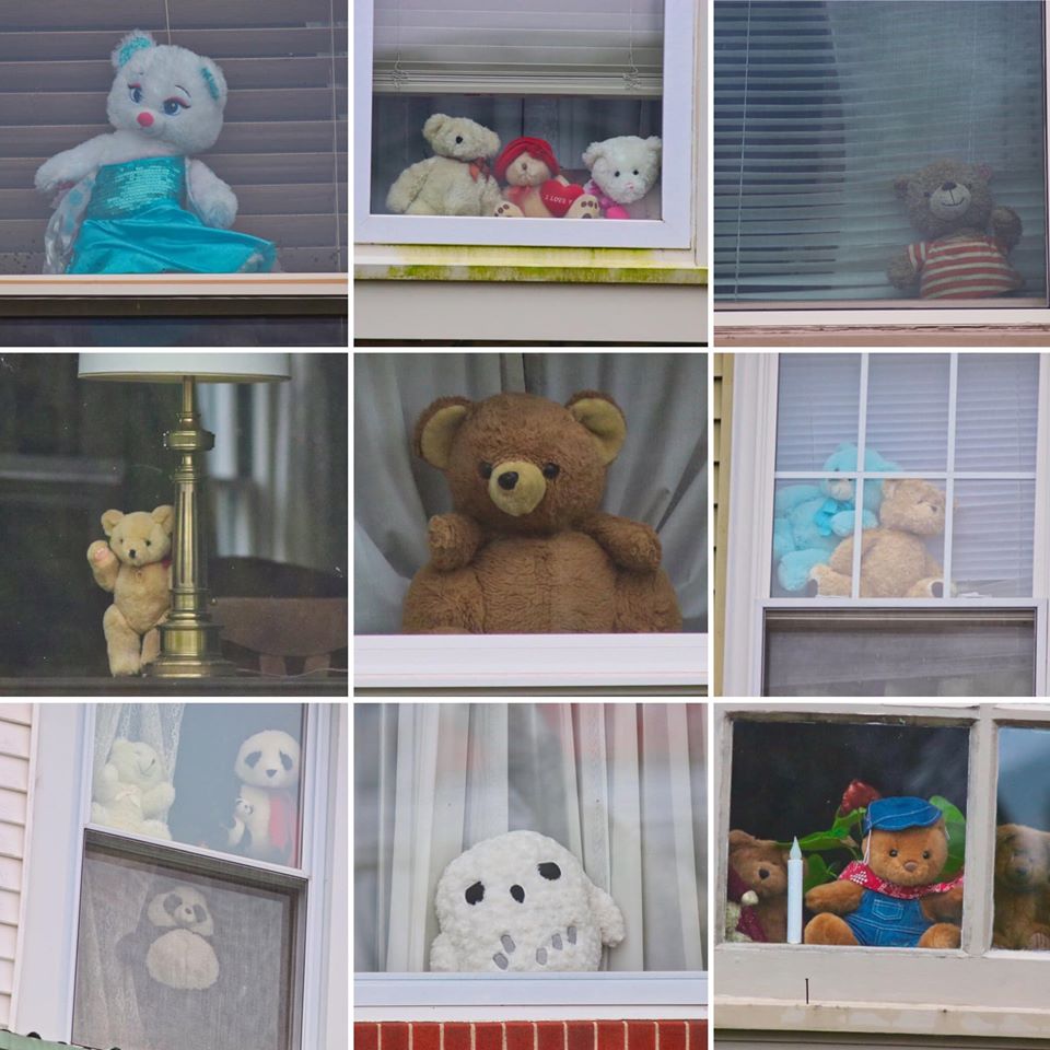 Bear hunt photo from facebook