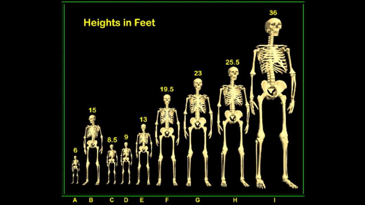 Nephilim from youtube.com