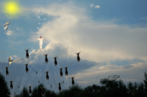 rapture from waywardsparkles.com